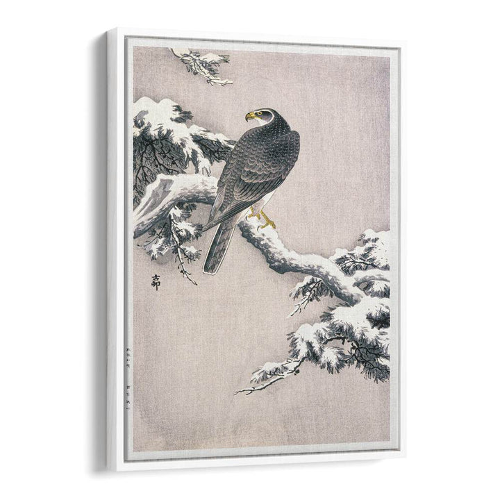 GOSHAWK ON SNOW-COVERED PINE BOUGH BY OHARA KOSON (1877–1945)