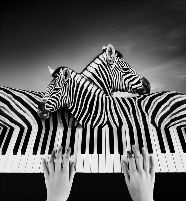 XIBIAO HUANG - PHOTOGRAPHER