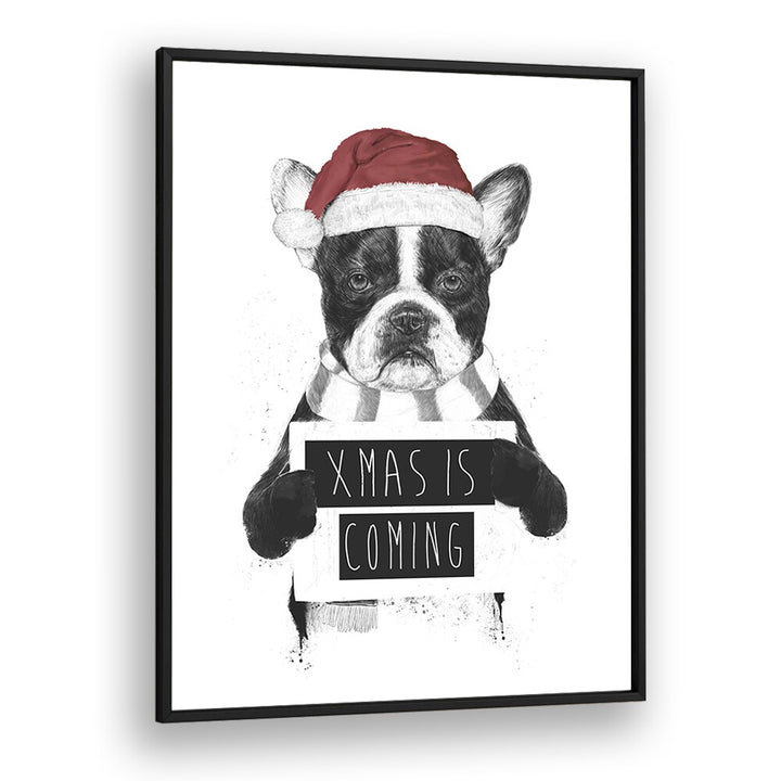 Xmas Is Coming By Balazs Solti Kids Room Art in Black Plain Frame