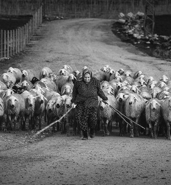 YAVUZ PANCAREKEN - PHOTOGRAPHER