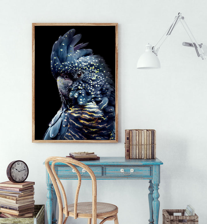 YELLOW SPOTTED COCKATOO