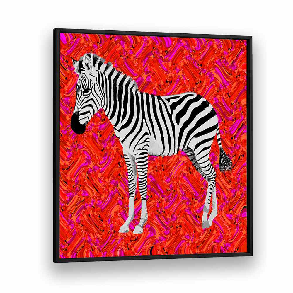 Zebra By Lynnda Rakos Pop Art Paintings Pop Art Prints in Black Plain Frame