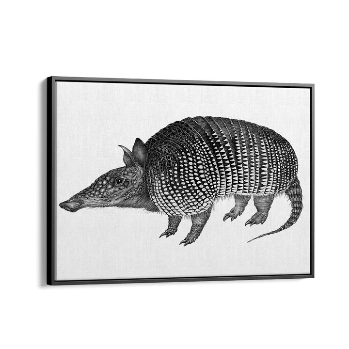 armadillo duvet Wildlife paintings in Black Floater Frame