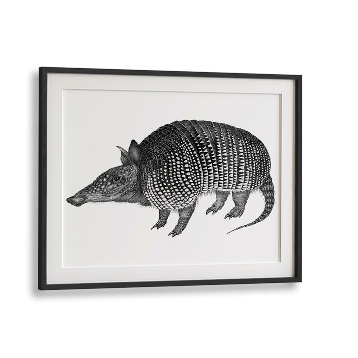 armadillo duvet Wildlife paintings in Black Frame With Mount