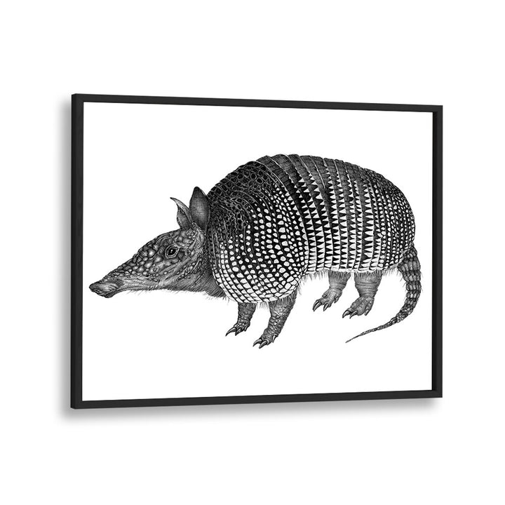 armadillo duvet Wildlife paintings in Black Plain Frame