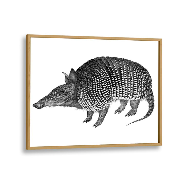 armadillo duvet Wildlife paintings in Oak Wood Plain Frame