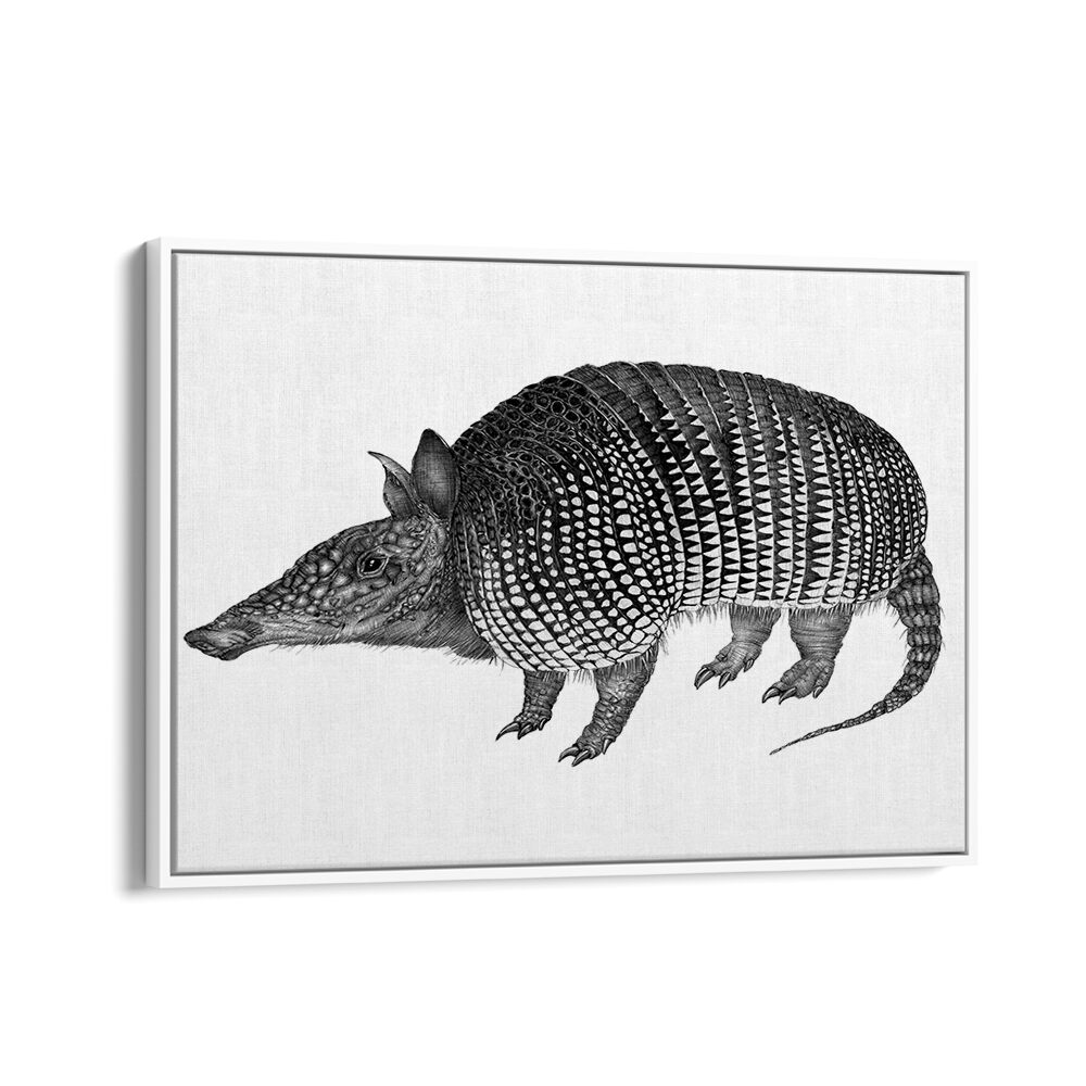 armadillo duvet Wildlife paintings in White Floater Frame