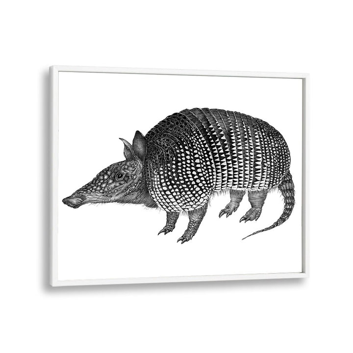 armadillo duvet Wildlife paintings in White Plain Frame