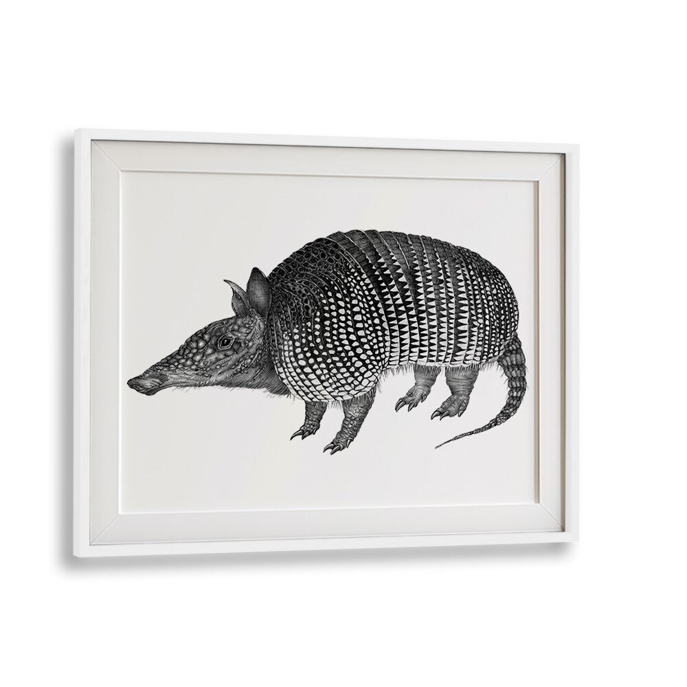 armadillo duvetWildlife paintings in White Frame With Mount