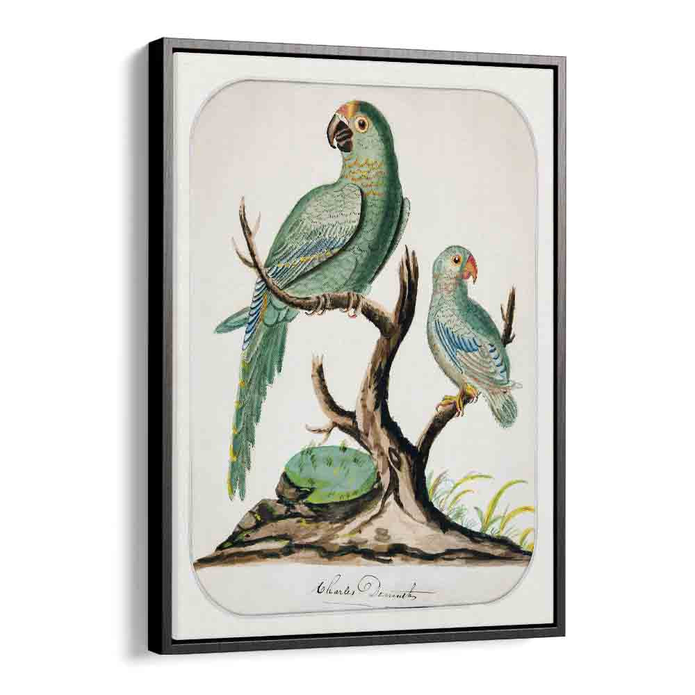 TWO PARROTS ON A BARREN TREE (CA.1916)