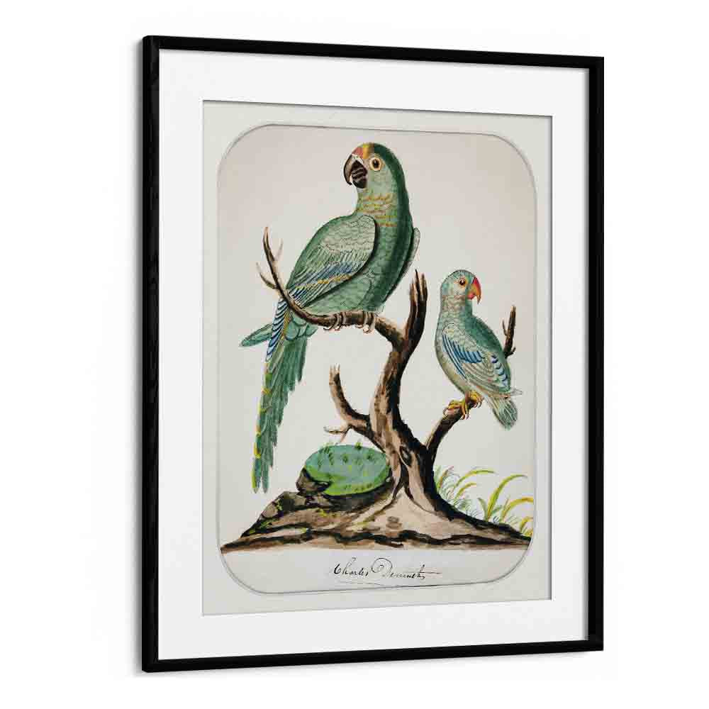 comic painting - TWO PARROTS ON A BARREN TREE (CA.1916) by Asianmonk