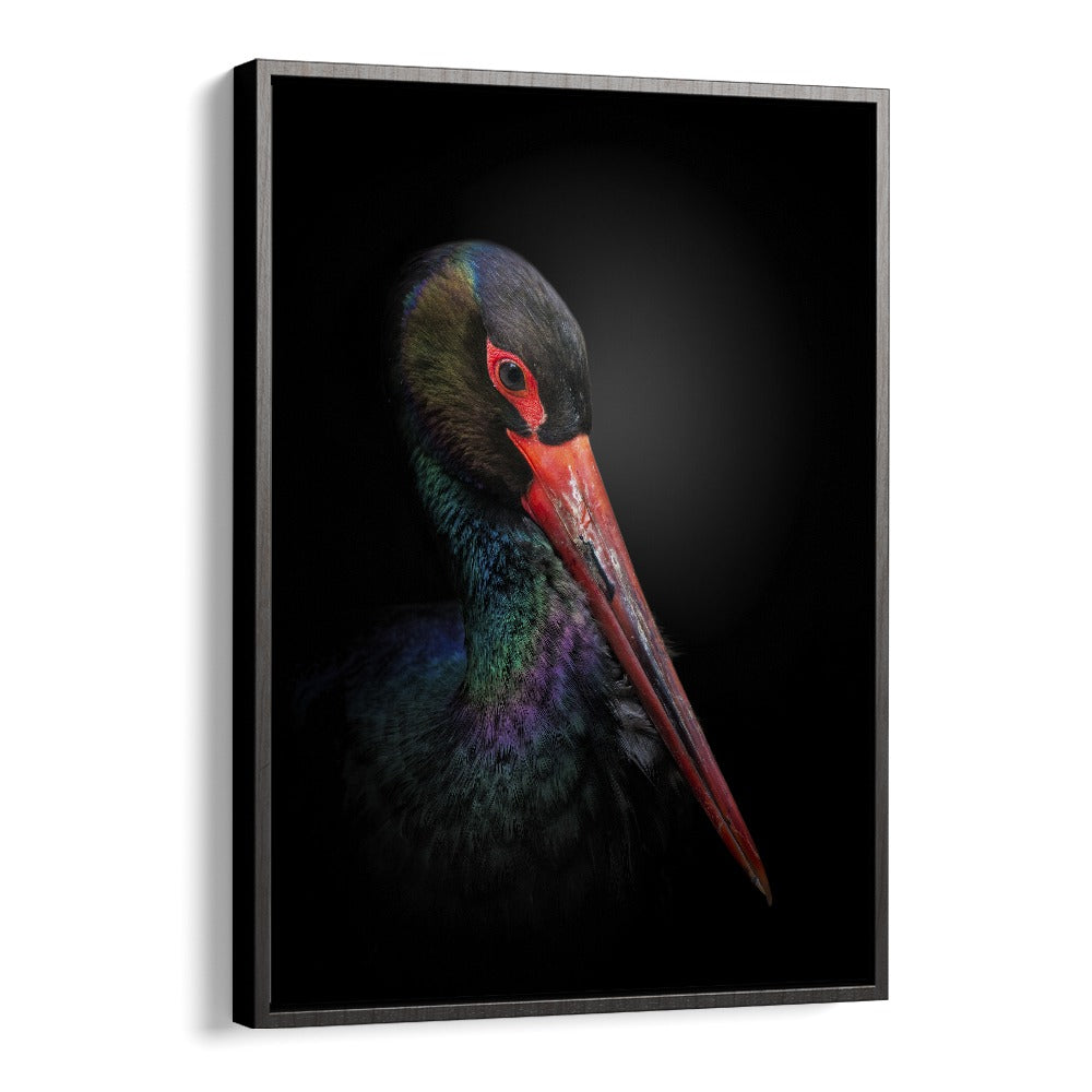 Christian Meermann painting - THE BLACK STORK by Asianmonk