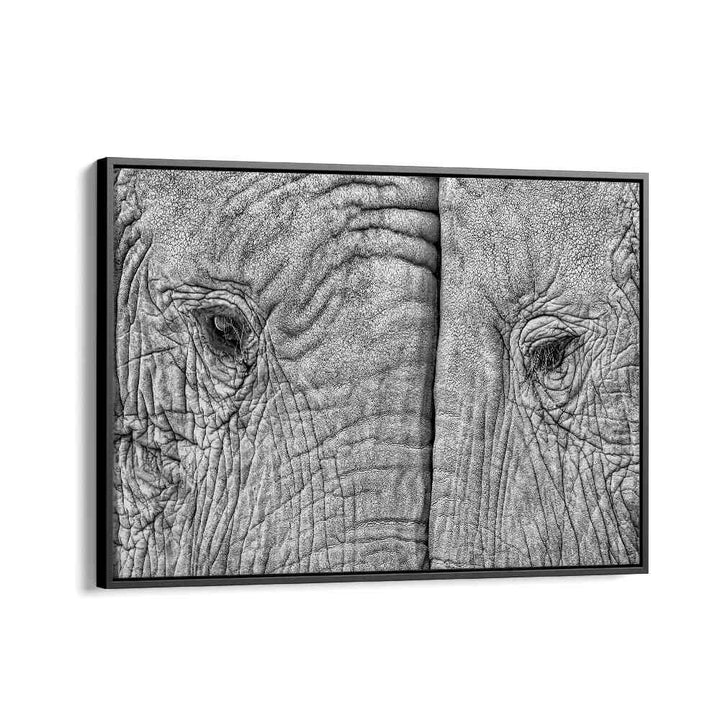 ABSTRACT painting - TWO ELEPHANTS by Asianmonk