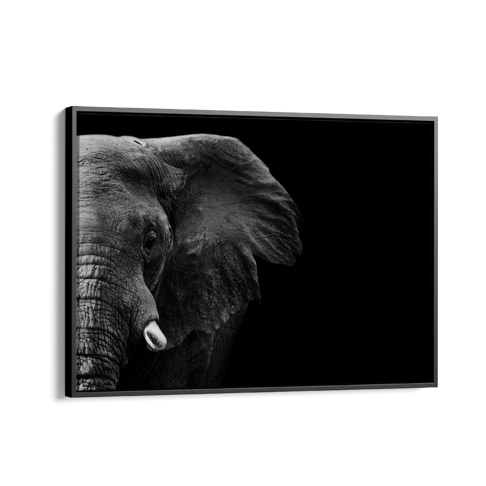 PHOTOGRAPHY painting - ELEPHANT by Asianmonk