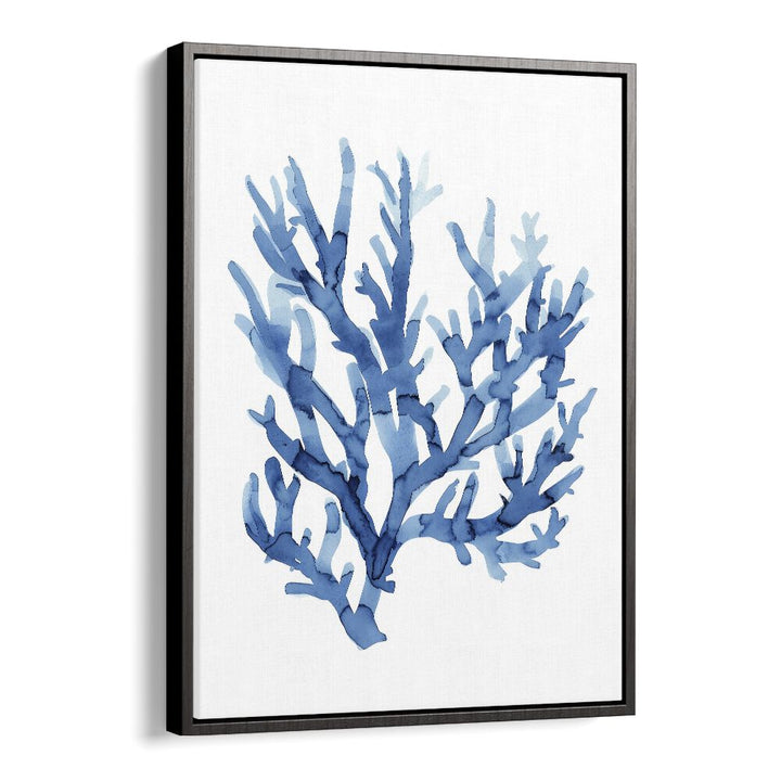 MARINE BOTANICALS I