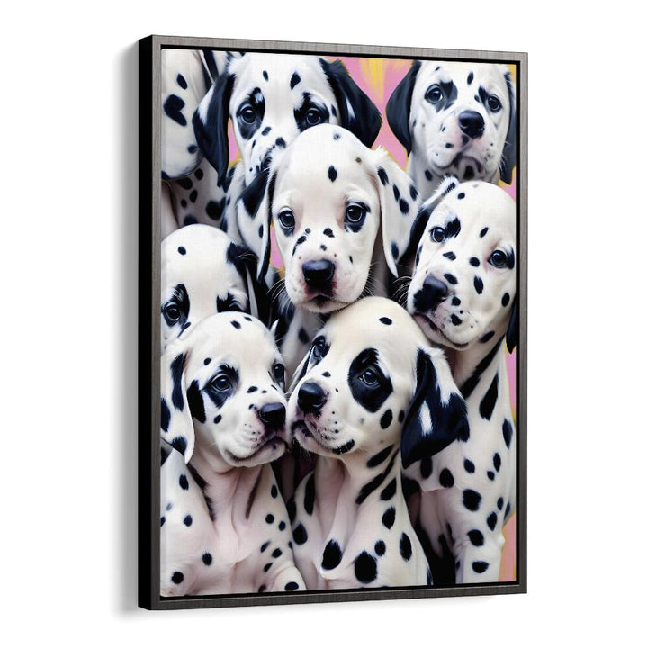 DALMATIAN LOVE