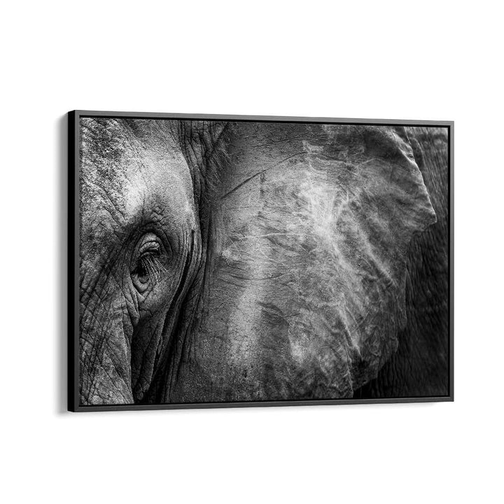 PHOTOGRAPHY painting - ELEPHANT FACE by Asianmonk