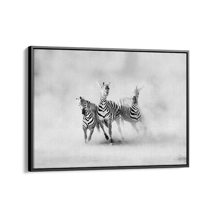 ABSTRACT painting - ZEBRAS by Asianmonk