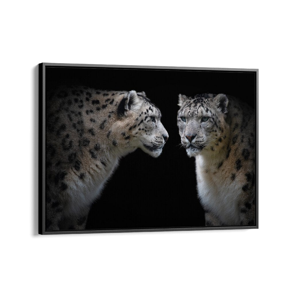 PHOTOGRAPHY painting - LIKE A MIRROR - PANTHERA UNCIA by Asianmonk