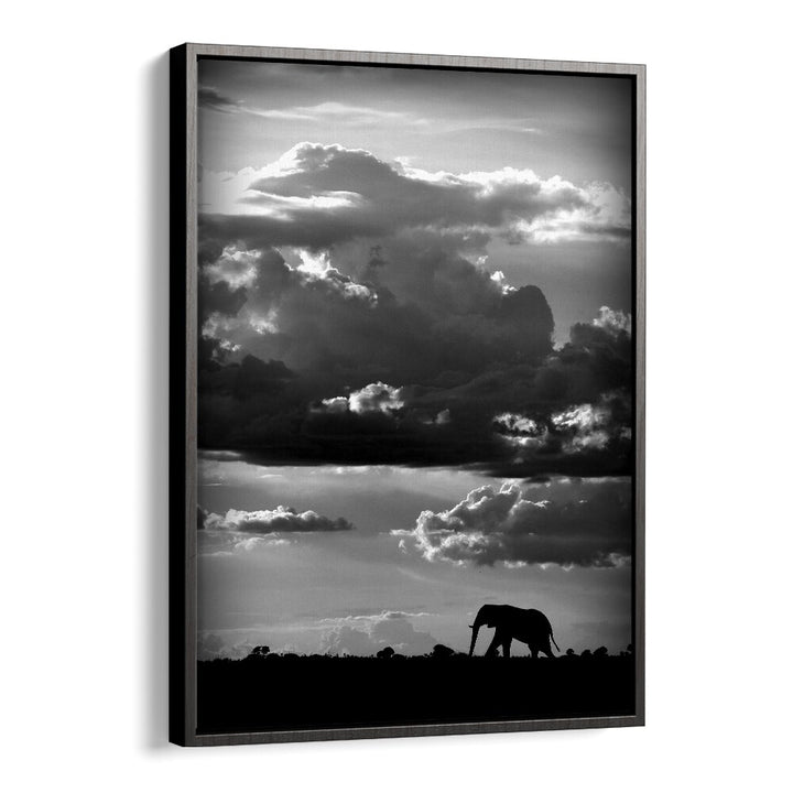 WILD PHOTO ART painting - HE WALKS UNDER AN AFRICAN SKY by Asianmonk