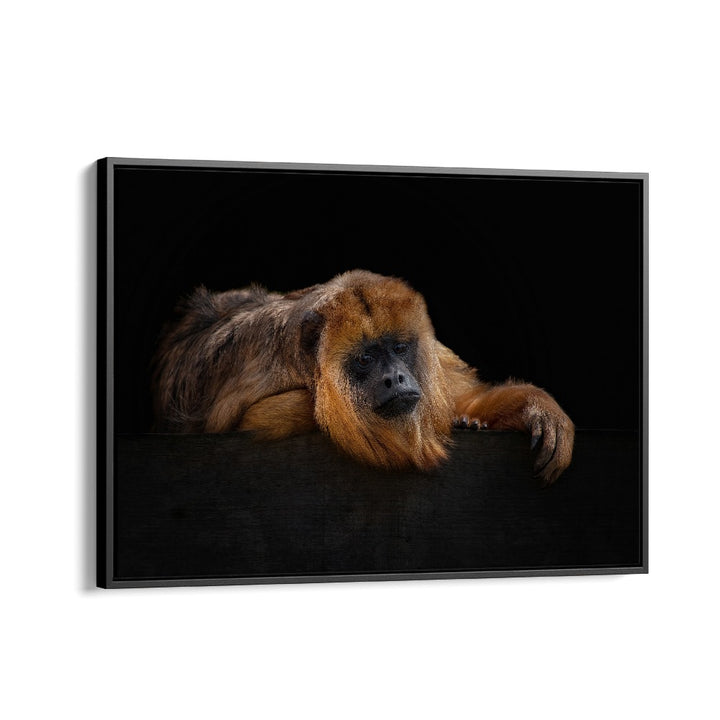 PHOTOGRAPHY painting - I'M BORED - BABOUNE - ALOUATTA MACCONNELLI by Asianmonk