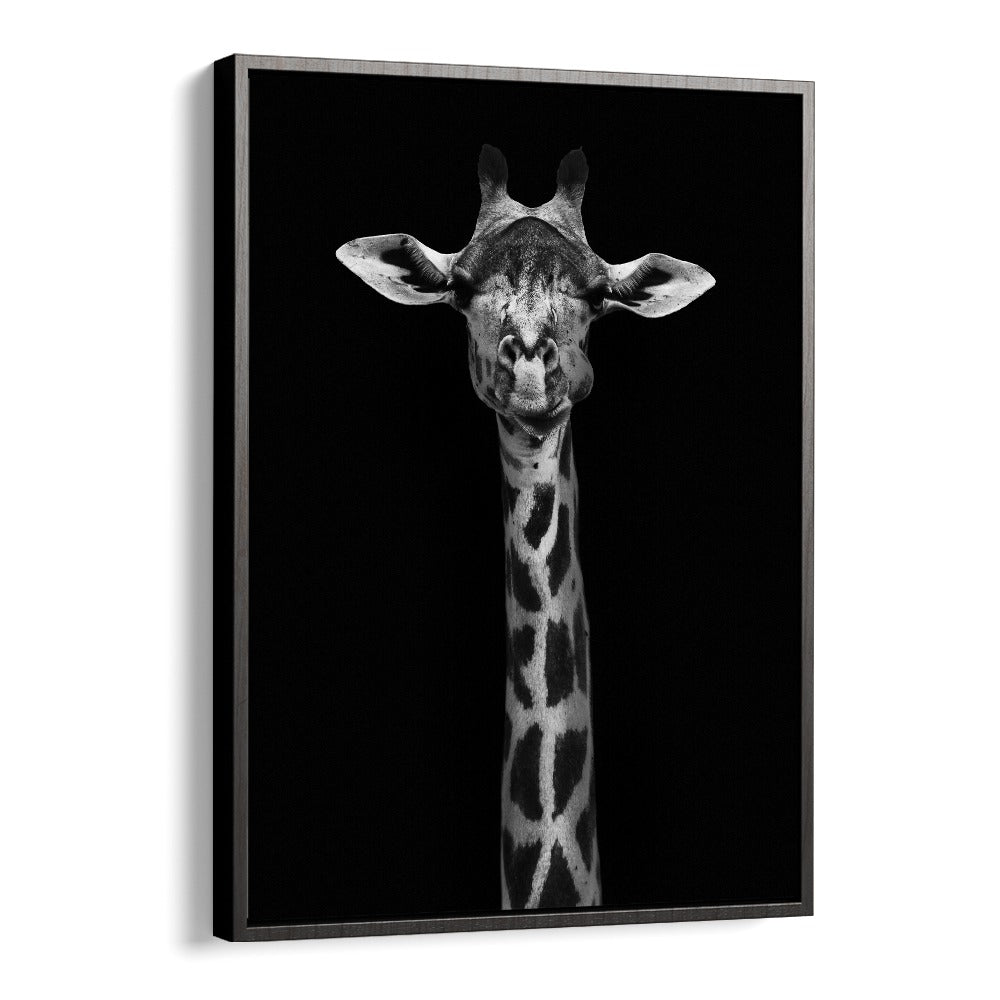 GIRAFFE PORTRAIT