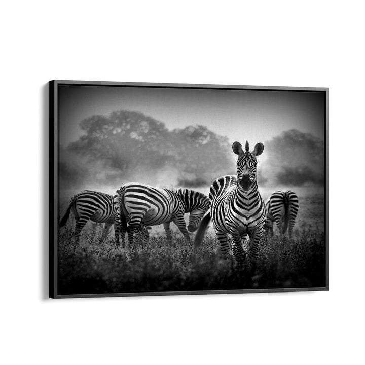 PHOTOGRAPHY painting - STALLION IN A PIN STRIPE SUIT by Asianmonk