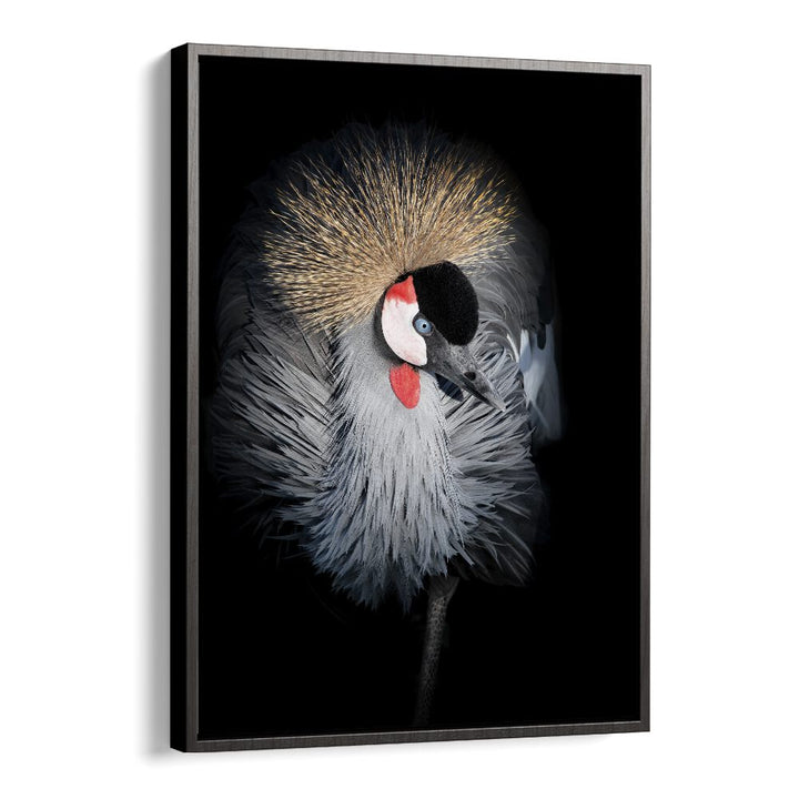 Christian Meermann painting - GREY CROWNED CRANE PORTRAIT by Asianmonk