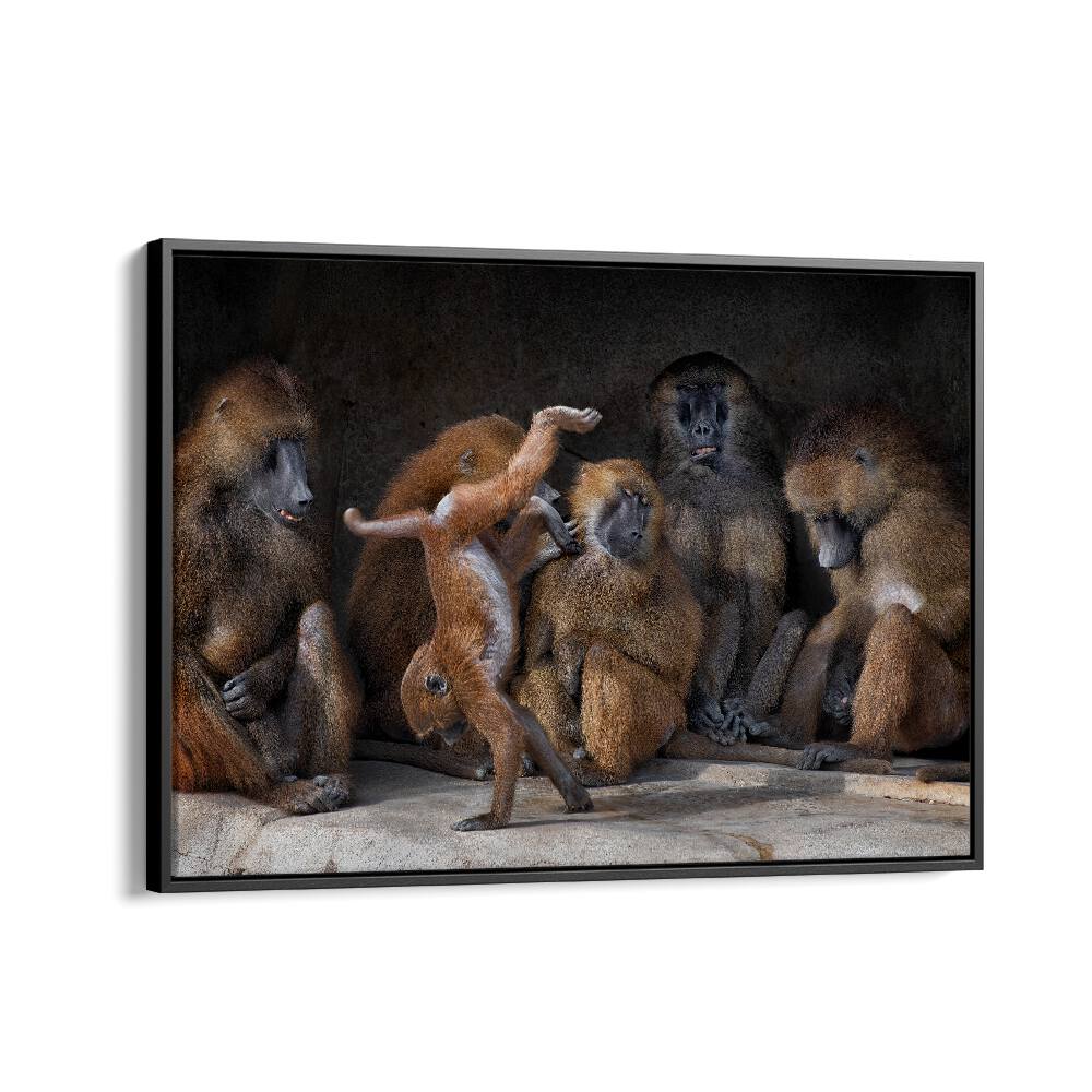 PHOTOGRAPHY painting - FAMILY SCENE - PAPIO PAPIO by Asianmonk