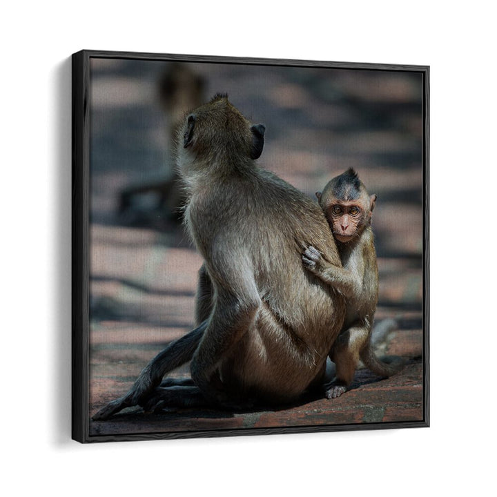 chre painting - BABY MONKEY by Asianmonk