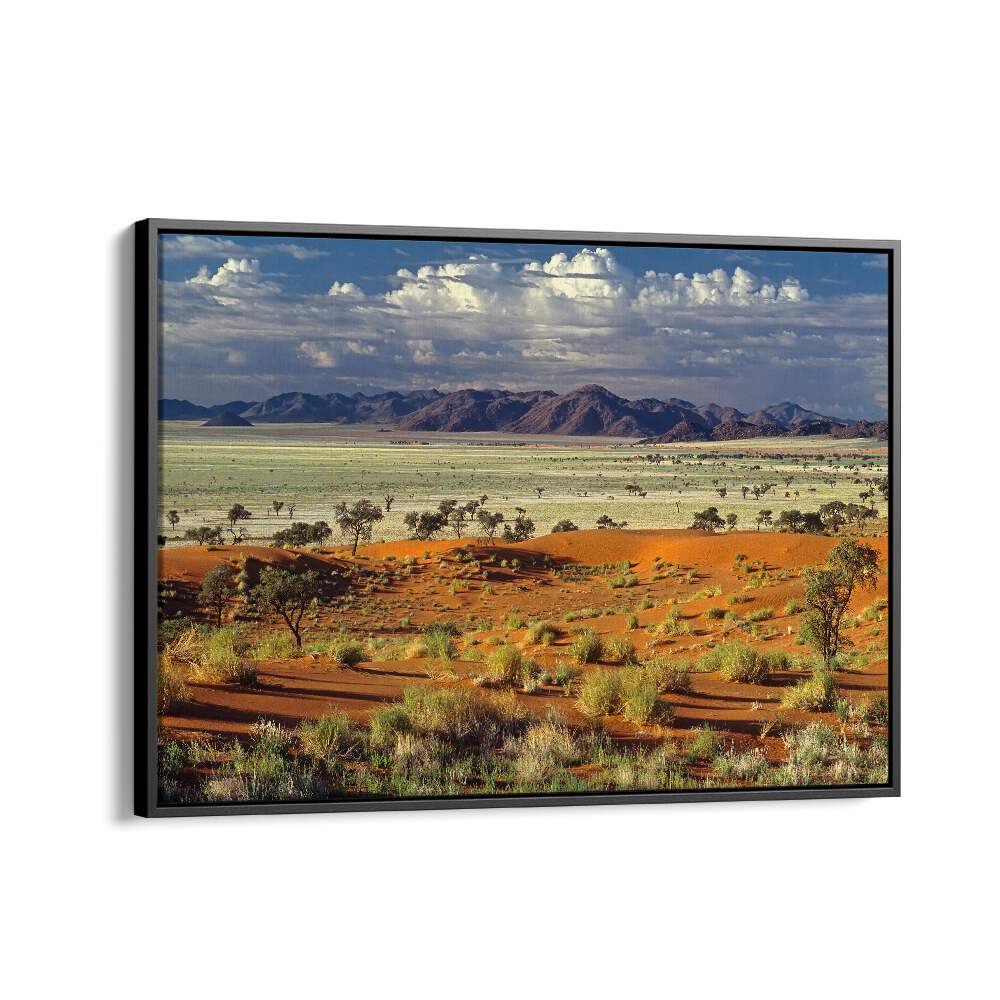 PHOTOGRAPHY painting - TOK TOKKIE DESERT by Asianmonk