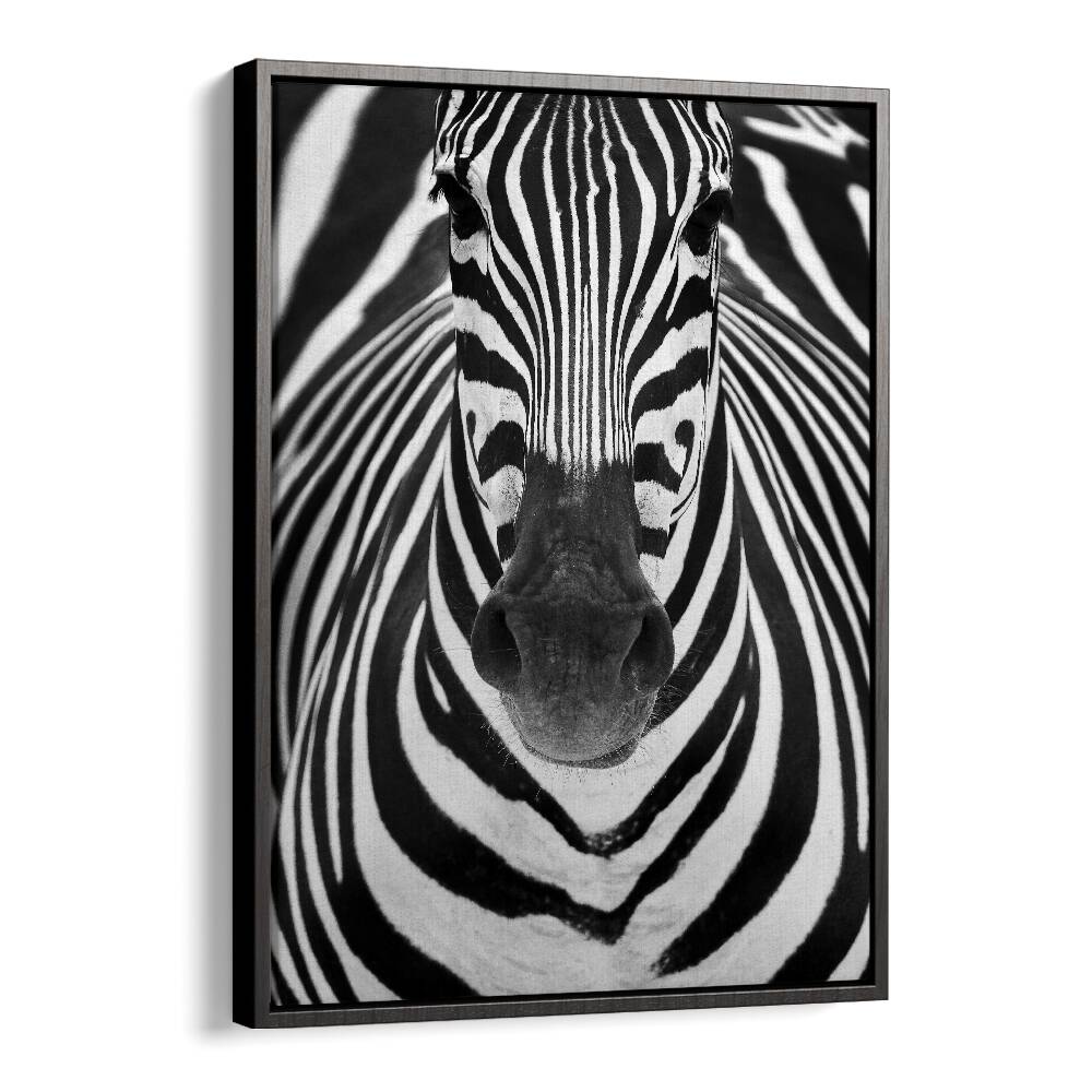 Christian Meermann painting - ZEBRA by Asianmonk