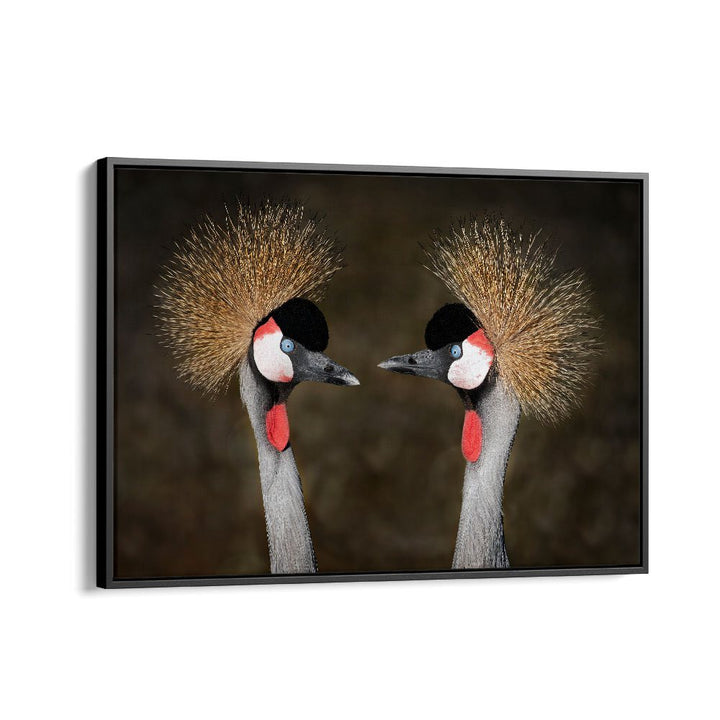 PHOTOGRAPHY painting - GREY CROWNED CRANES APPOINTMENT by Asianmonk