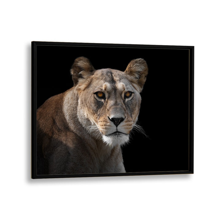 PHOTOGRAPHY painting - LIONESS PORTRAIT by Asianmonk