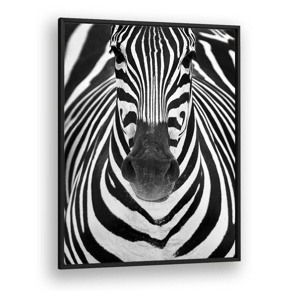 Christian Meermann painting - ZEBRA by Asianmonk