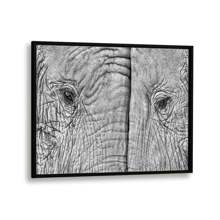 ABSTRACT painting - TWO ELEPHANTS by Asianmonk