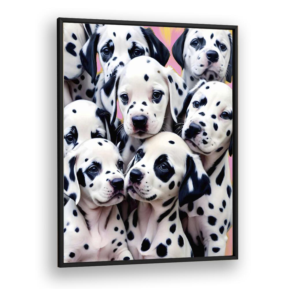 DALMATIAN LOVE