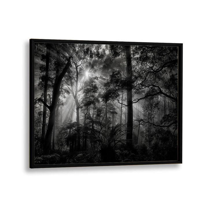 PHOTOGRAPHY painting - PRIMARY FOREST by Asianmonk