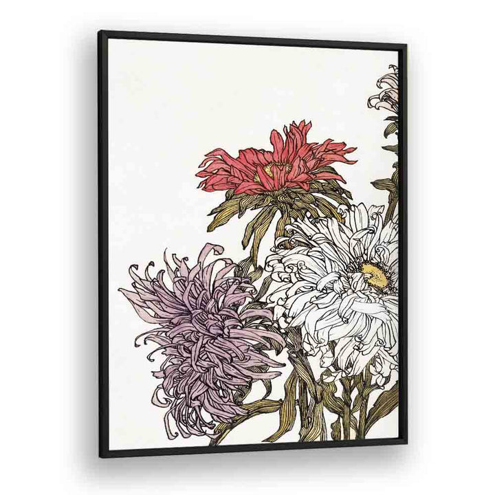 CHRYSANTHEMUMS