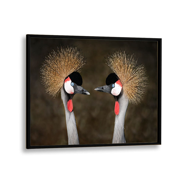 PHOTOGRAPHY painting - GREY CROWNED CRANES APPOINTMENT by Asianmonk