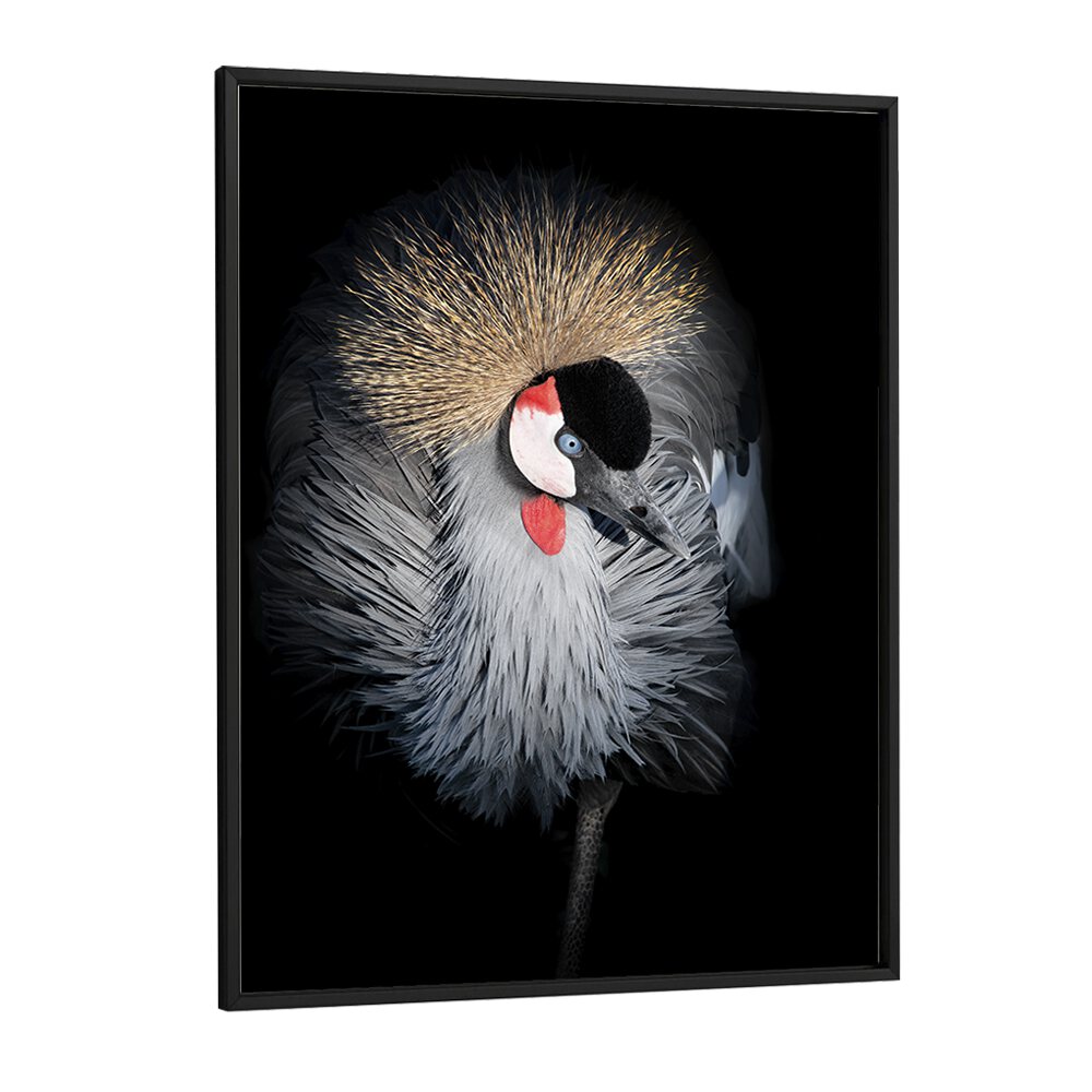 Christian Meermann painting - GREY CROWNED CRANE PORTRAIT by Asianmonk