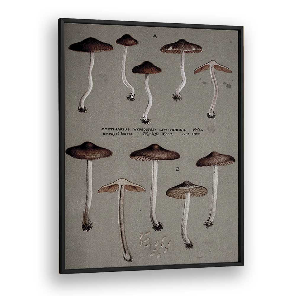 Christian Meermann painting - FUNGAL ODYSSEY JOURNEY OF THE AIRBORNE CAPS by Asianmonk