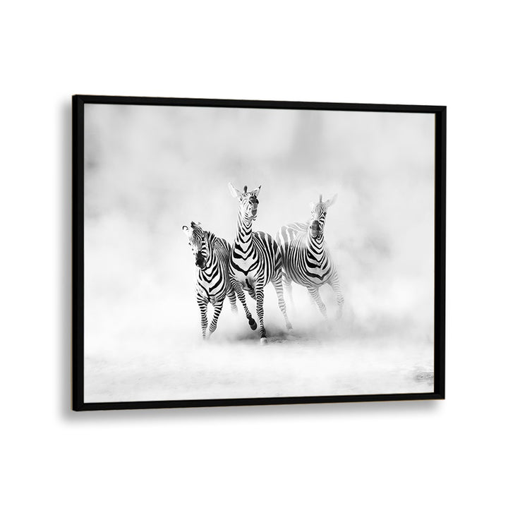 ABSTRACT painting - ZEBRAS by Asianmonk