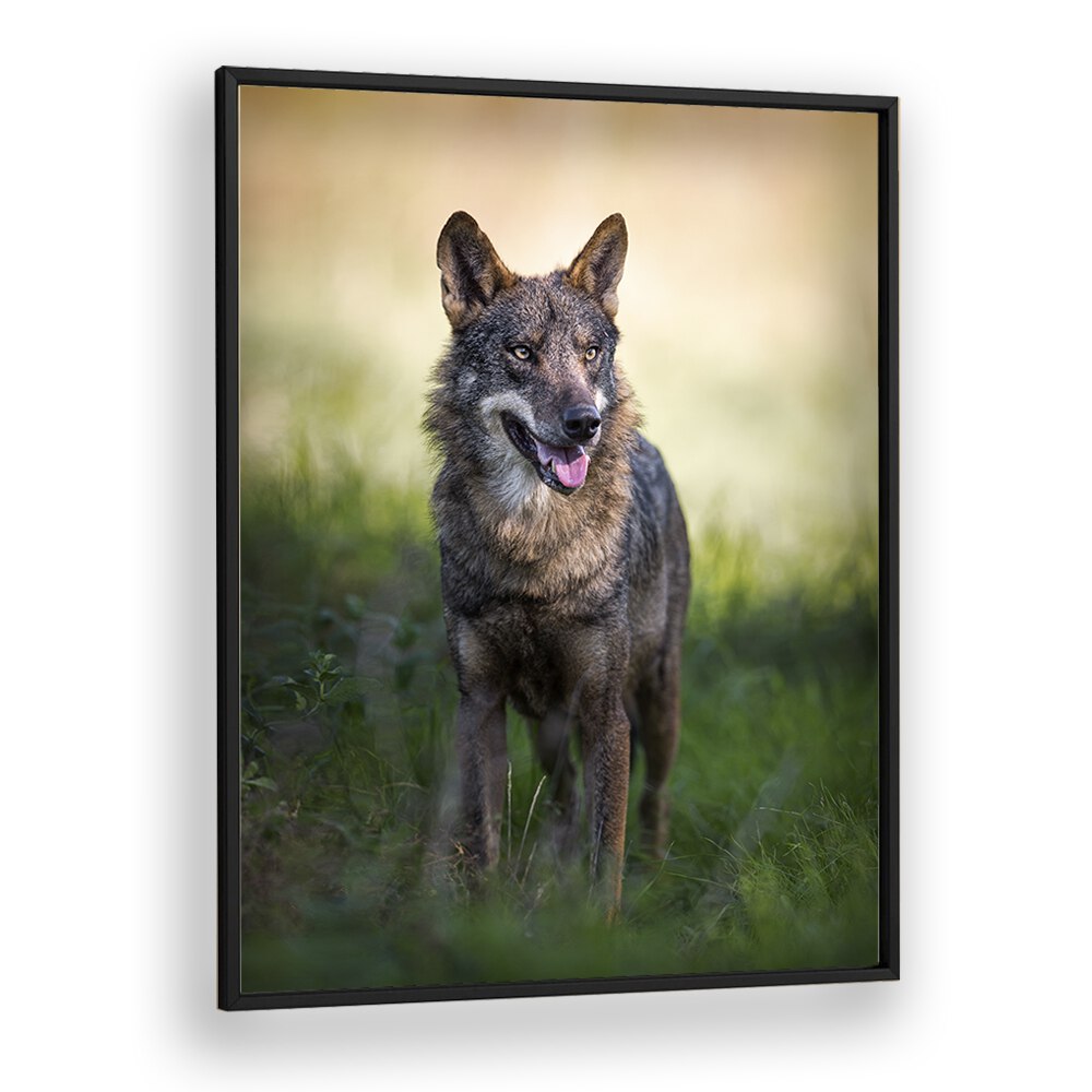 Christian Meermann painting - CANIS LUPUS SIGNATUS by Asianmonk