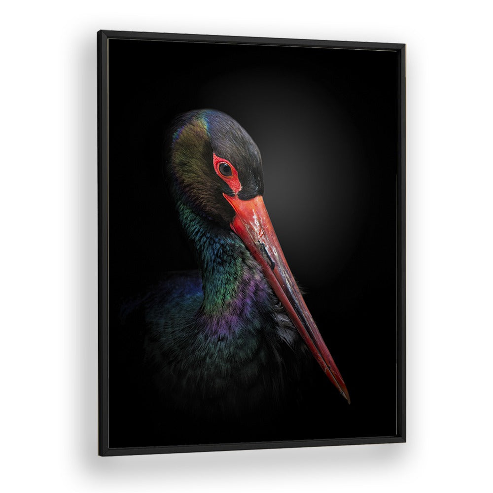 Christian Meermann painting - THE BLACK STORK by Asianmonk