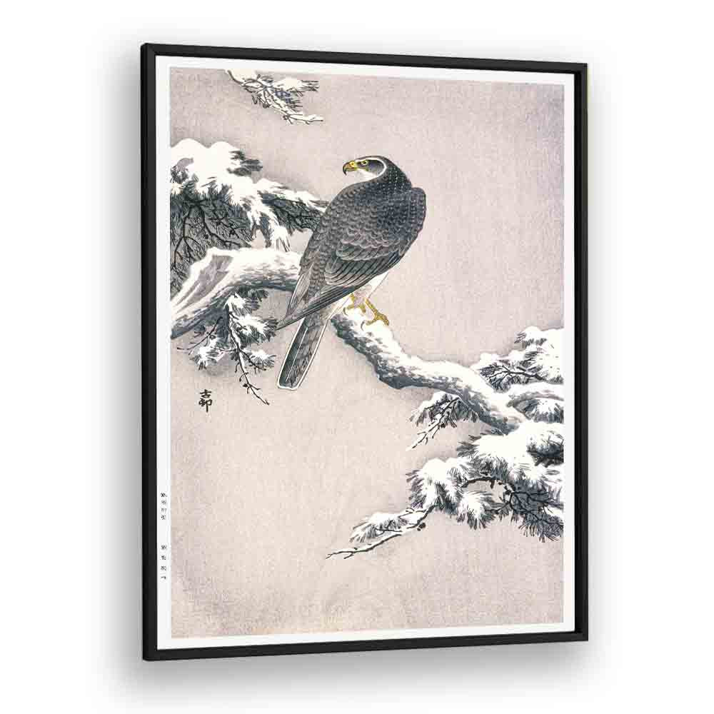 GOSHAWK ON SNOW-COVERED PINE BOUGH BY OHARA KOSON (1877–1945)
