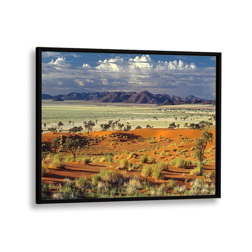 PHOTOGRAPHY painting - TOK TOKKIE DESERT by Asianmonk