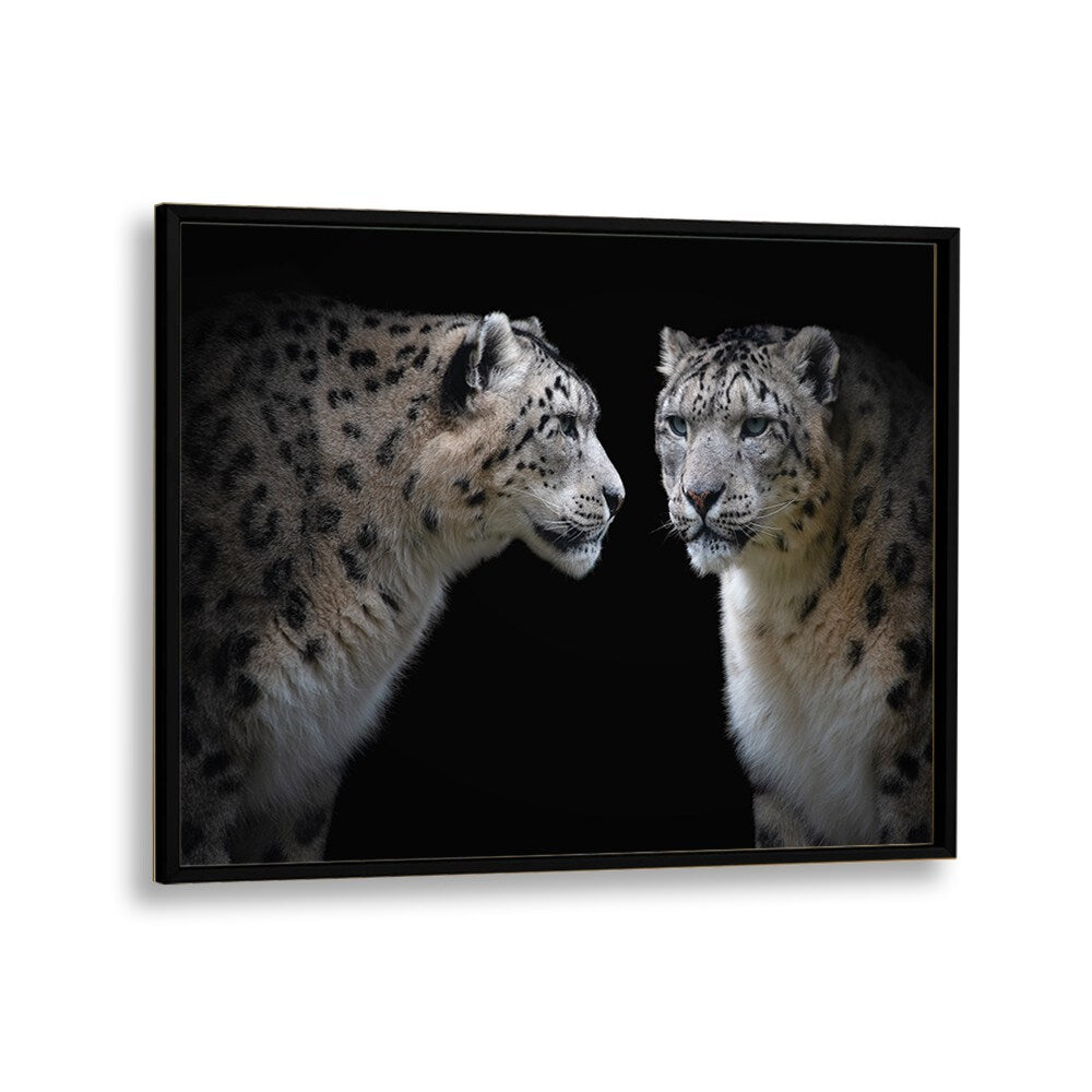 PHOTOGRAPHY painting - LIKE A MIRROR - PANTHERA UNCIA by Asianmonk