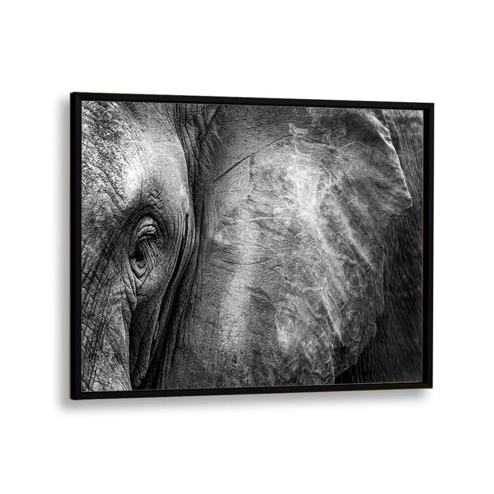 PHOTOGRAPHY painting - ELEPHANT FACE by Asianmonk