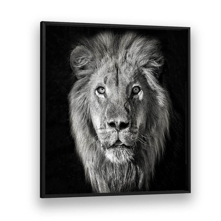 chre painting - LION PORTRAIT- PANTHERA LEO by Asianmonk